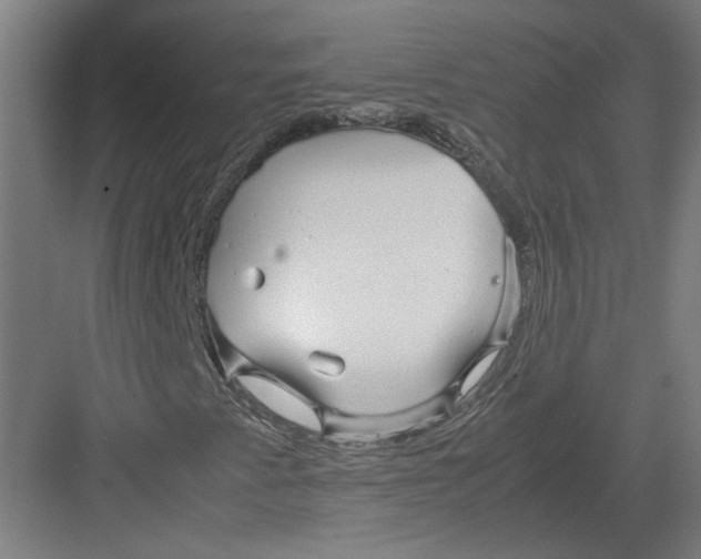 X0000082201345200702092350