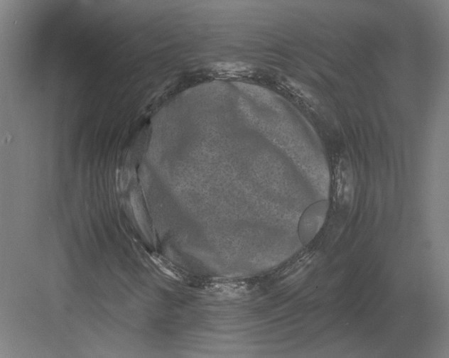 X0000082201346200702092350