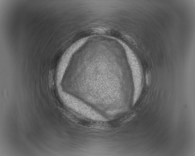 X0000082201347200702092350