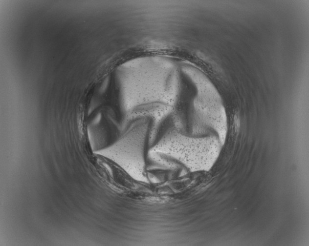 X0000082201348200702092350