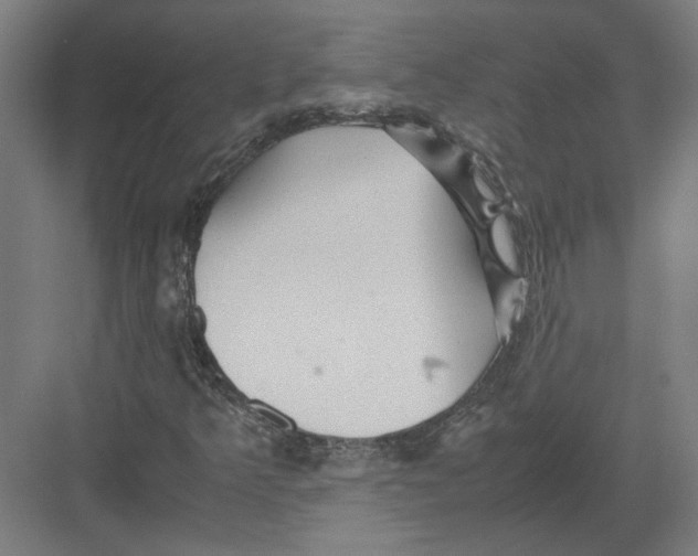 X0000082201349200702092350