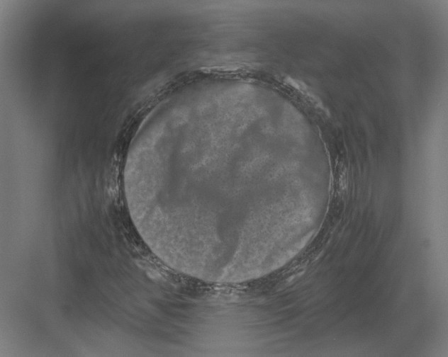 X0000082201350200702092350