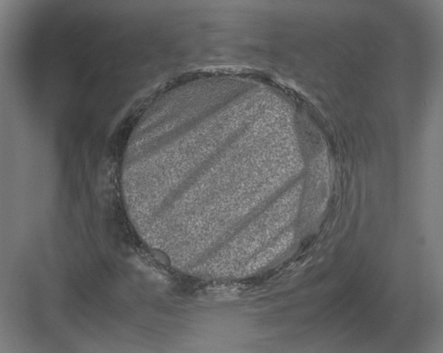 X0000082201351200702092350