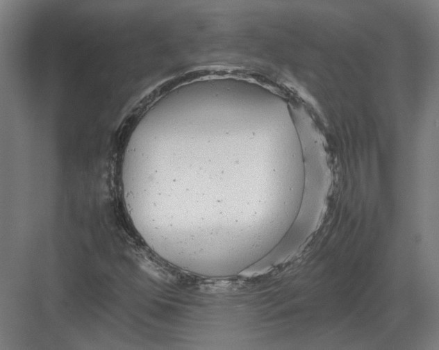 X0000082201352200702092350