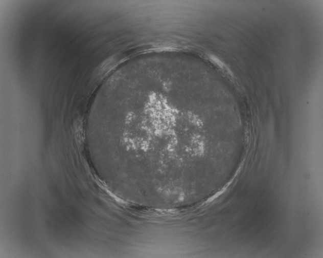 X0000082201353200702092350