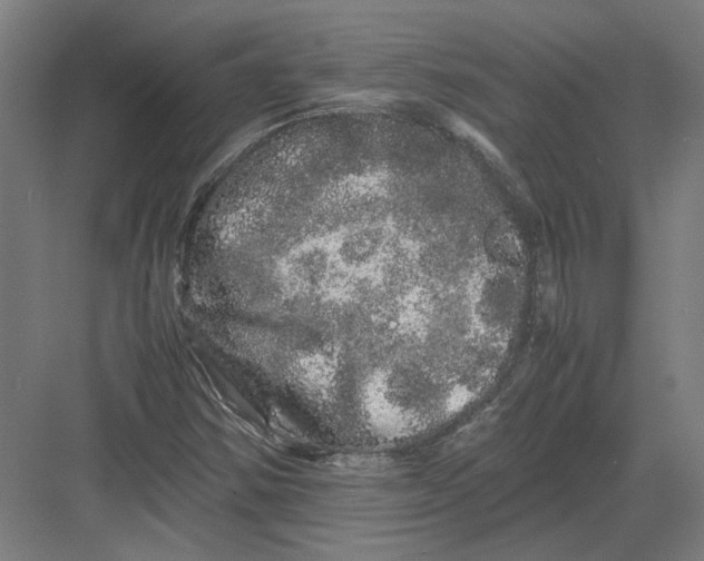 X0000082201354200702092350