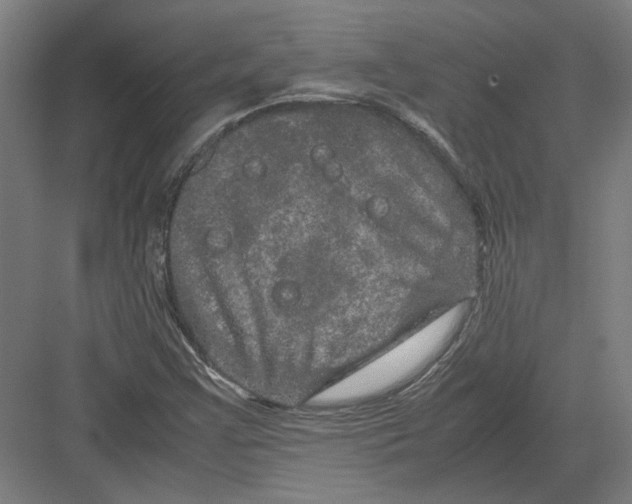 X0000082201355200702092350