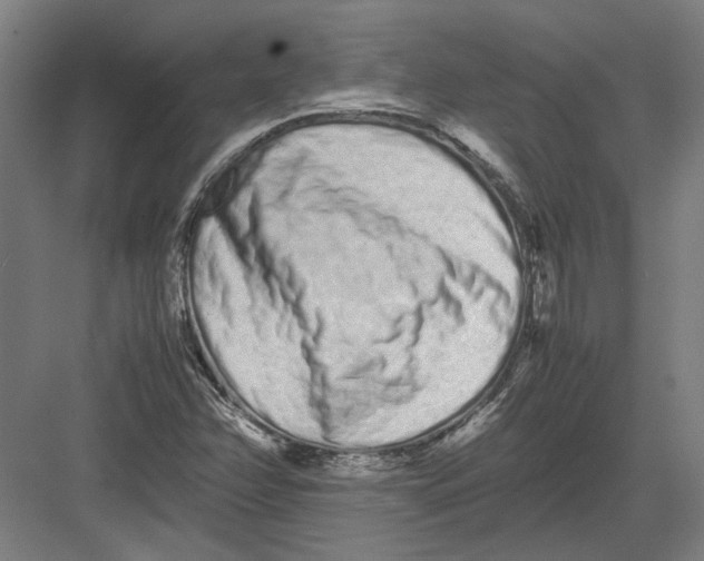 X0000082201358200702092350