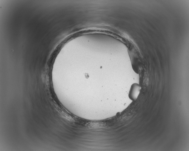 X0000082201360200702092350