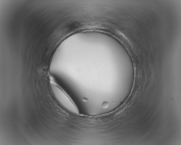 X0000082201361200702092350