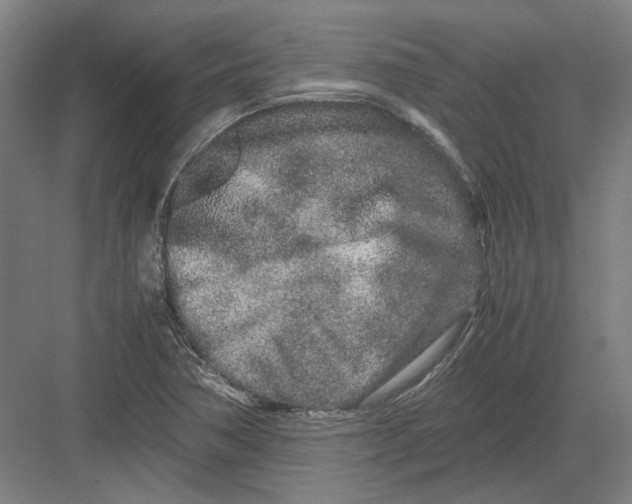 X0000082201362200702092350