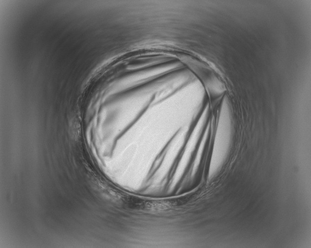 X0000082201363200702092350