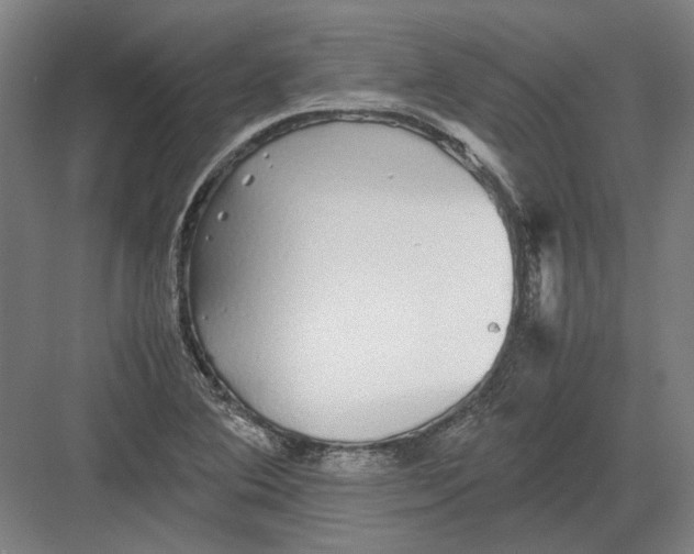 X0000082201364200702092350