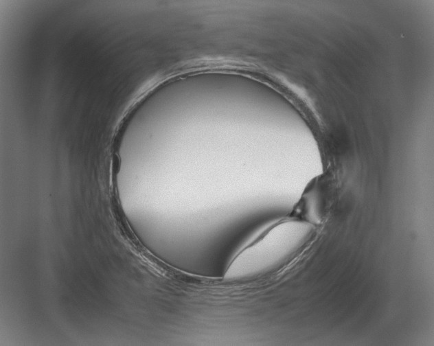 X0000082201365200702092350