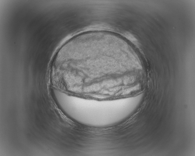 X0000082201366200702092350