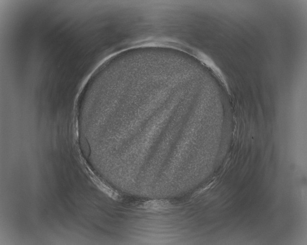 X0000082201368200702092350