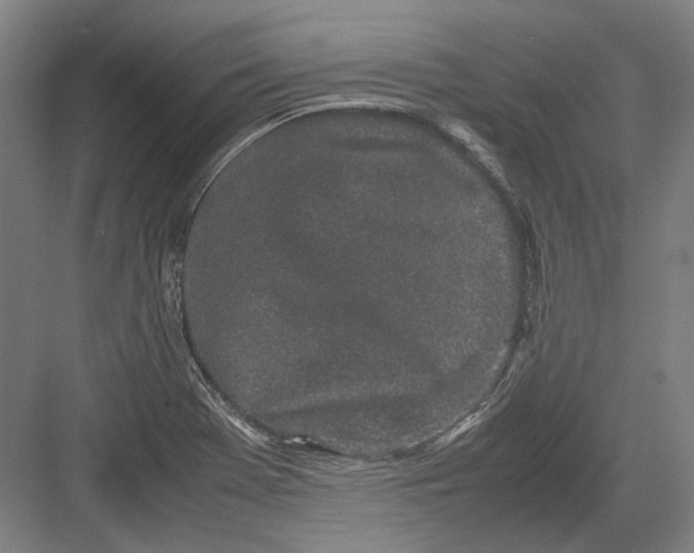 X0000082201369200702092350