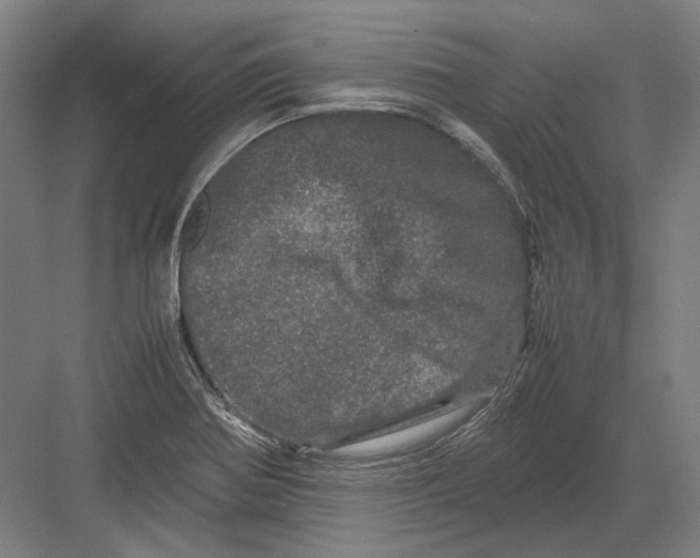 X0000082201370200702092350