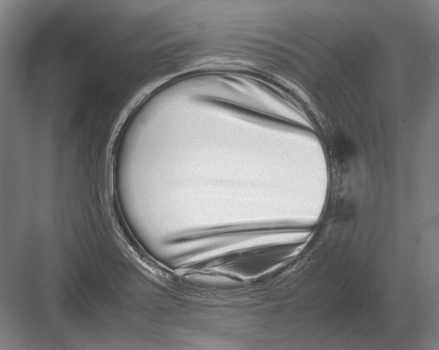 X0000082201371200702092350