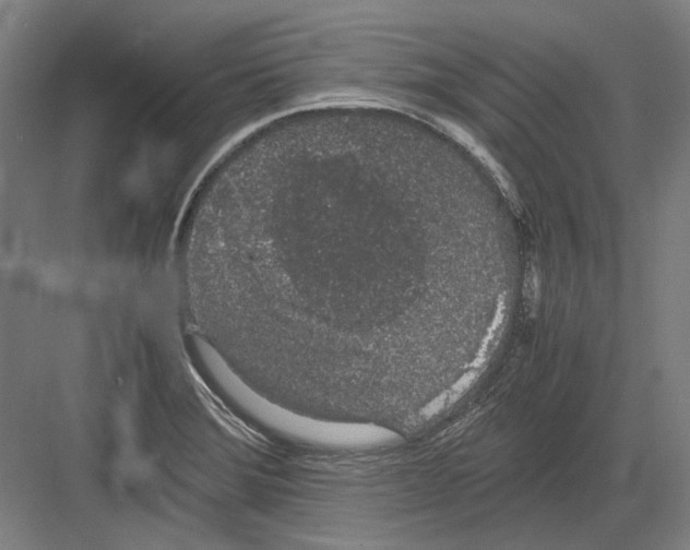 X0000082201372200702092350