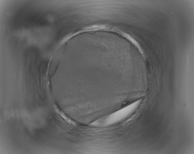 X0000082201373200702092350