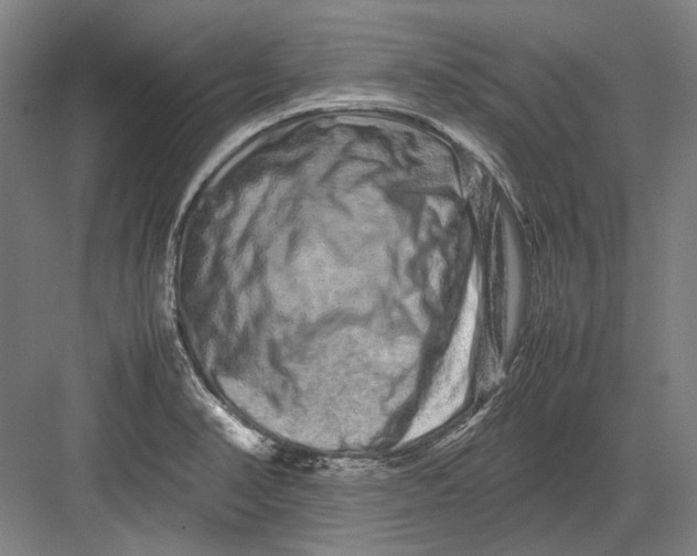 X0000082201374200702092350