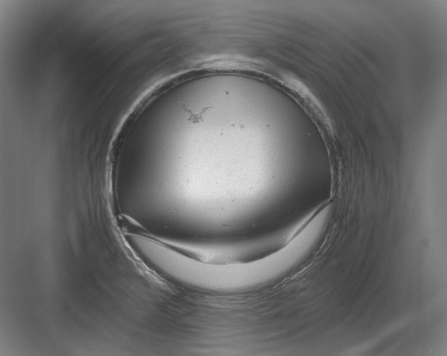 X0000082201376200702092350