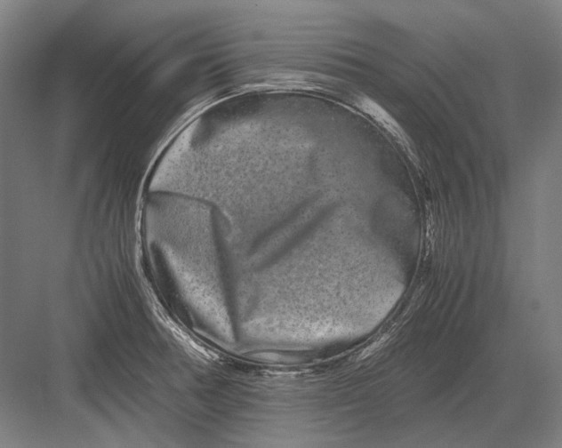 X0000082201378200702092350