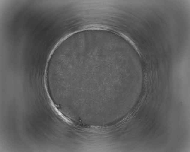 X0000082201379200702092350