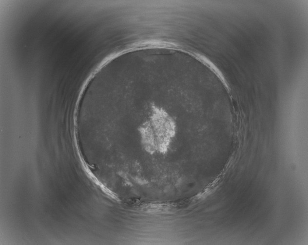 X0000082201381200702092350