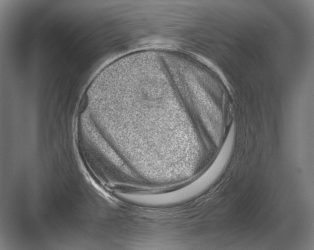 X0000082201383200702092350