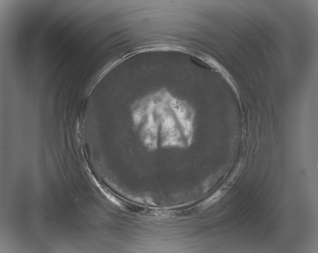 X0000082201385200702092350