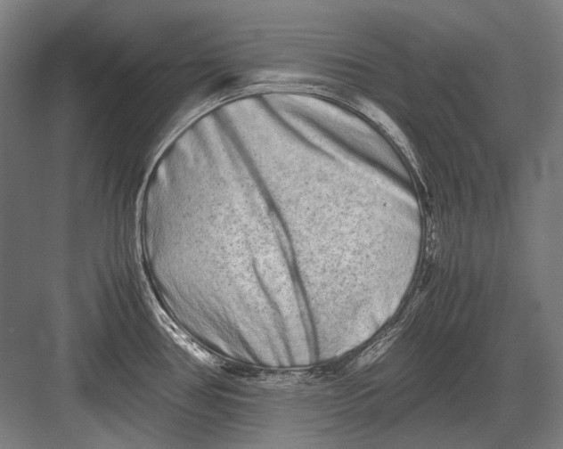 X0000082201386200702092350