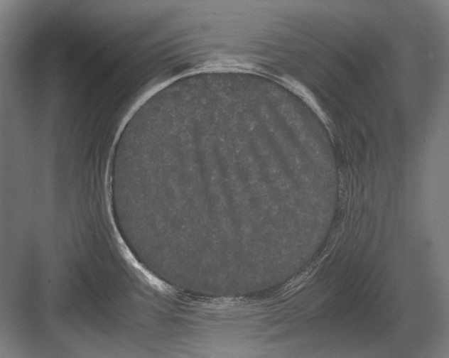 X0000082201387200702092350