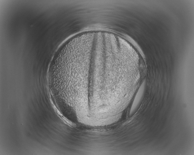 X0000082201388200702092350