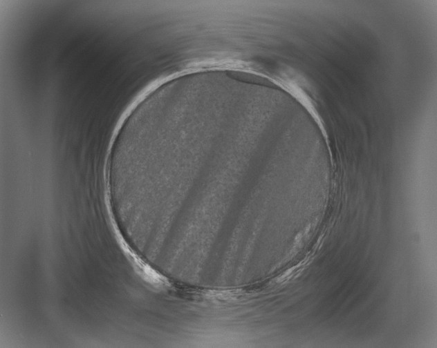 X0000082201389200702092350