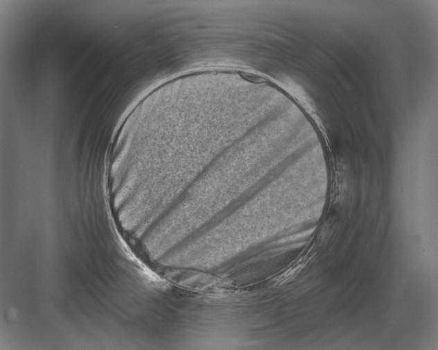 X0000082201390200702092350