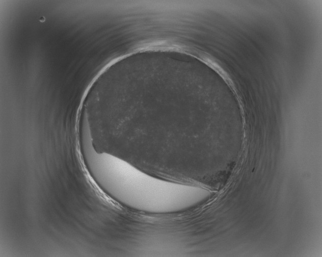 X0000082201392200702092350