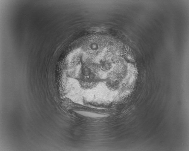 X0000082201393200702092349