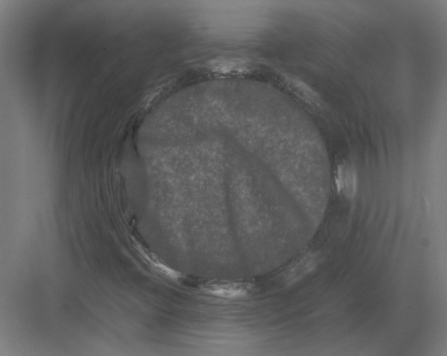 X0000082201396200702092349