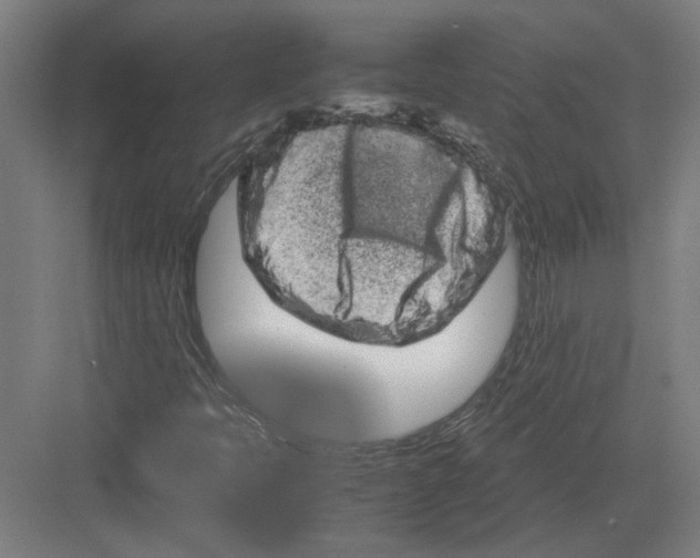 X0000082201397200702092349