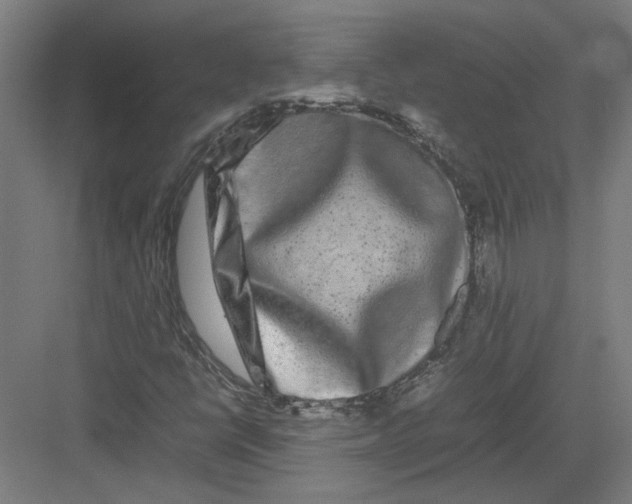 X0000082201398200702092349