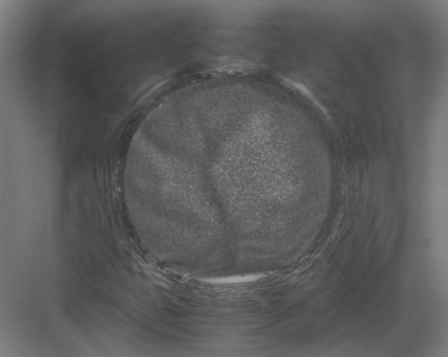 X0000082201399200702092349