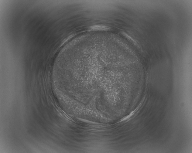 X0000082201401200702092349