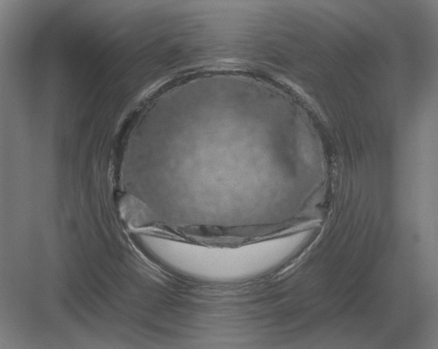 X0000082201402200702092349