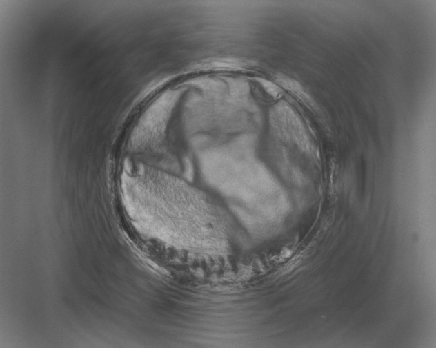 X0000082201404200702092349