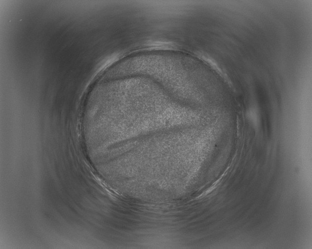 X0000082201405200702092349