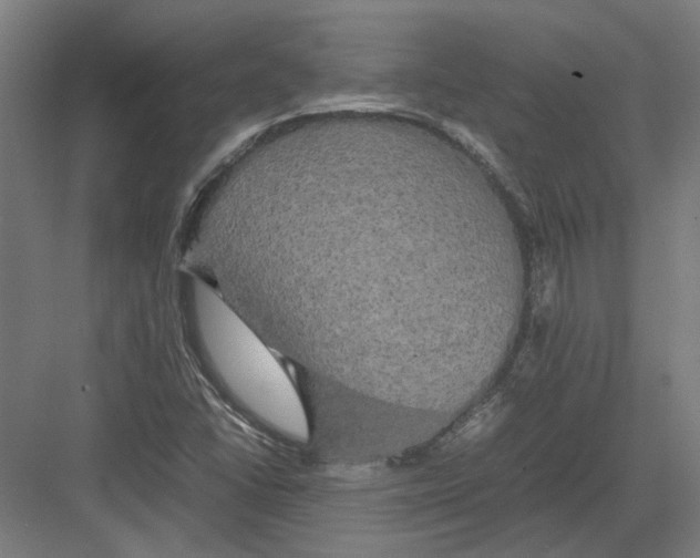 X0000082201406200702092349