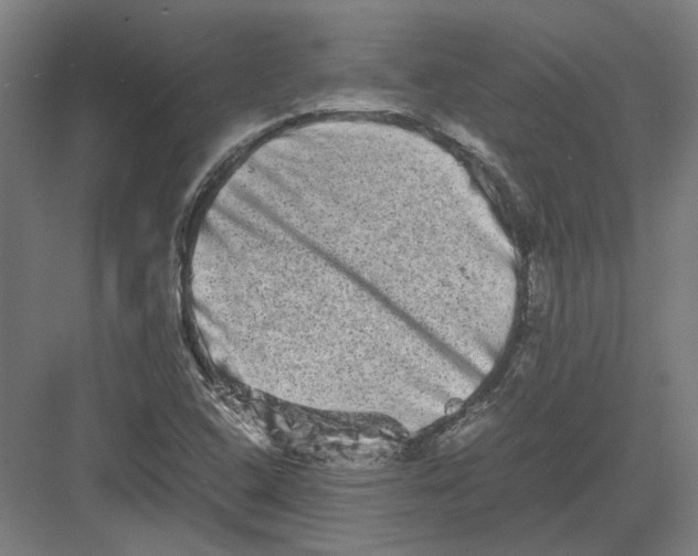 X0000082201408200702092349