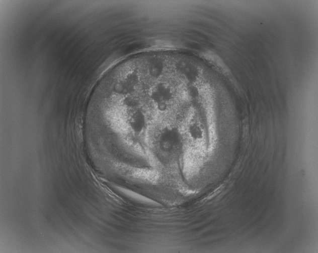 X0000082201409200702092349